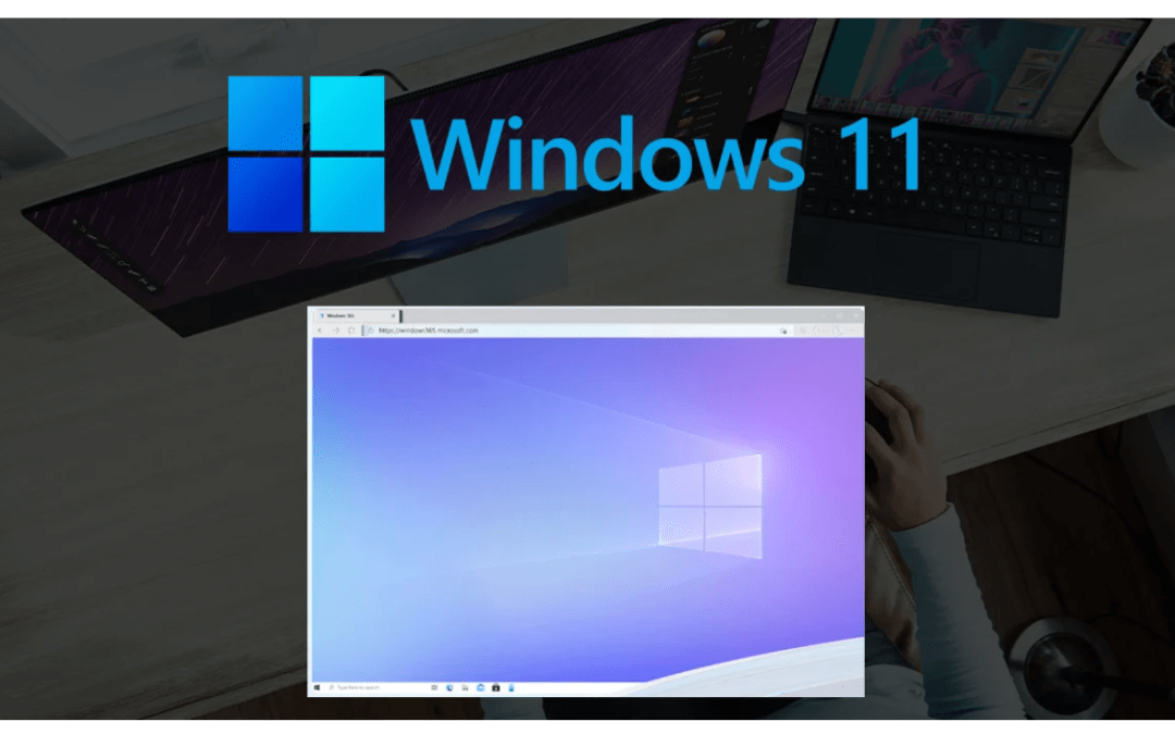Windows 11 frente a Windows 365: ¿cuál es la diferencia?